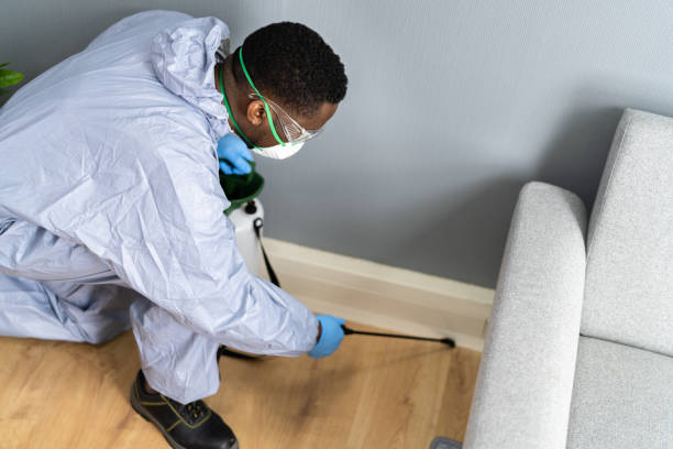 Best Pest Exclusion Services  in Holland, MI